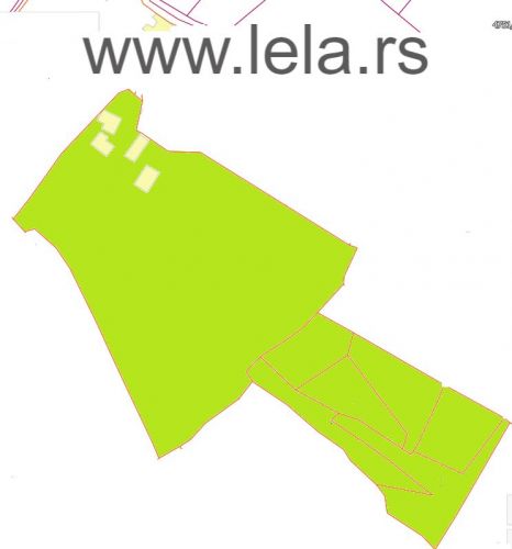 lela dm