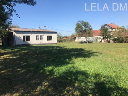 lela dm
