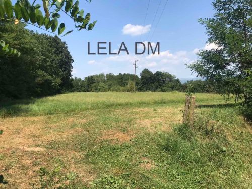 lela dm